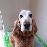 Elaine Driver - @laineydriver - Instagram
