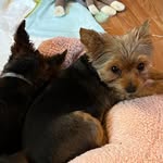 Elaine Dunkerley - @dunkerleyelaine - Instagram