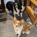 Elaine Dutton - Facebook
