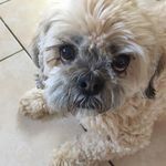 Elaine Dutton-Stanger - @duttonstanger - Instagram