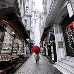 elaine eames - @elaine_eames - Instagram