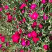 Elaine Easterling - Facebook