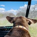 Elaine Ebner - @eebcoogs - Instagram