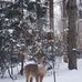 Elaine Eichner - Facebook