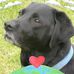 Elaine Eldridge - Facebook