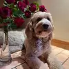 elaineeldridge528 - @elaineeldridge528 - TikTok