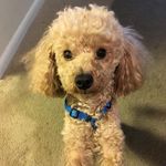 Elaine Epstein - @elaine.eptein.5 - Instagram