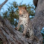 Elaine Epstein Photographer - @xpatafrica - Instagram