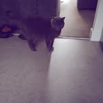 Elaine feeney - @elainefeeney8 - Instagram