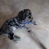 Elaine Fields - @elaine.fields - TikTok