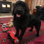 elaine gardner - @elaineuk123 - Instagram