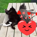 Elaine Gardner - @elainegardner5895 - Instagram