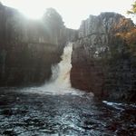 Elaine Gardner - @elaine.gardner.967 - Instagram