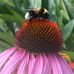 Elaine Garner - Facebook