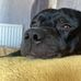 Elaine Garner - Facebook