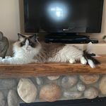 Elaine Harlan Garner - @steamaustin - Instagram