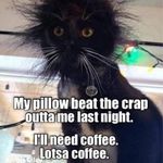 Elaine Haley - @elaine.haley.7165 - Instagram