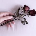 @elaine_handoko2000 - Instagram
