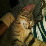 Elaine Hare - @hare4606 - Instagram