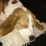 Elaine Hawkes - @elaine.hawkes - Instagram
