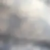 elainehawk - @elainehawk37 - TikTok
