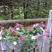 Elaine Helm - Facebook