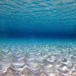 Elaine Herrmann - @herrlain - Instagram