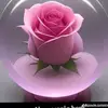 Elaine Hoffmann - @elaine.hoffmann91 - TikTok
