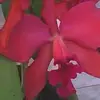 Elaine Hoffmann - @elainehoffmann5 - TikTok