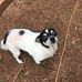 Elaine Holder - Facebook