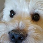 Elaine Holt - @elaine.holt.5099 - Instagram