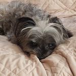Elaine Holt - @elaine.holt.1048 - Instagram