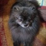 Elaine Holt - Facebook