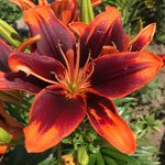 Elaine Hook - @elainehook - Instagram