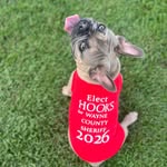 Lisa Elaine Hughes Hooks - @addnitup - Instagram