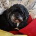 Elaine Howes - Facebook