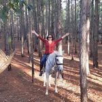 Elaine Jacques - @elaine.jacques.50 - Instagram