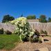 Elaine Kidd - Facebook