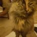 Elaine Kidd - Facebook