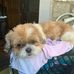 Elaine Knowles - Facebook