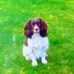 Elaine Knowles - Facebook