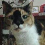 Elaine Kramer - @elaine.kramer.100 - Instagram