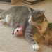 Elaine Larson - Facebook