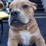 Elaine Light - @elaine.light.7509 - Instagram