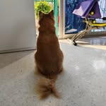 Elaine Lock - @mal8888 - Instagram