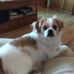 Elaine Lowry - Facebook