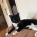 Elaine Littrel - Facebook