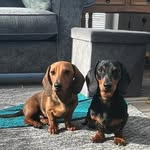 Elaine Magee - @elainemagee9 - Instagram