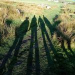 elaine maher - @elainemaher1978 - Instagram