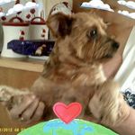 Malcolm Elaine Noon - @malcolmelainenoon - Instagram